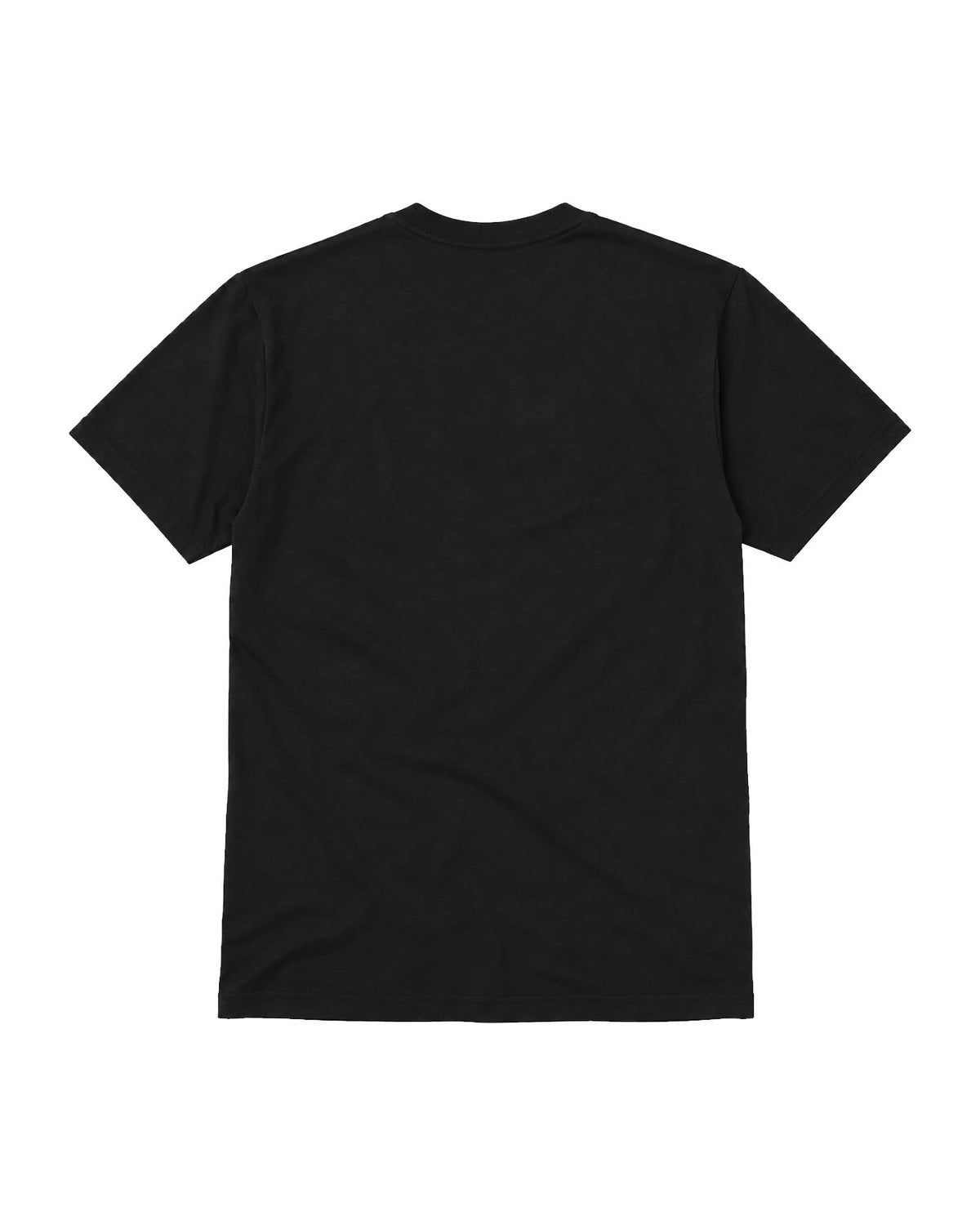 Regular Fit T-Shirt BACK at WrestleHub
